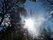 pic015a